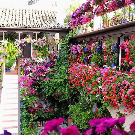 Puerta A La Mezquita Apartamento Córdova Exterior foto